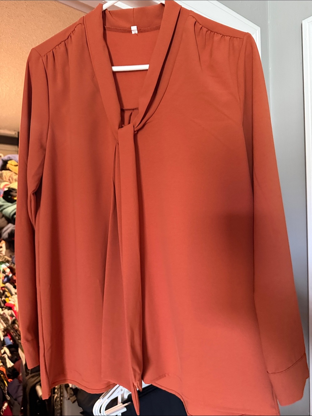 Amazon Women's Tie-Neck Blouse in Burnt Orange